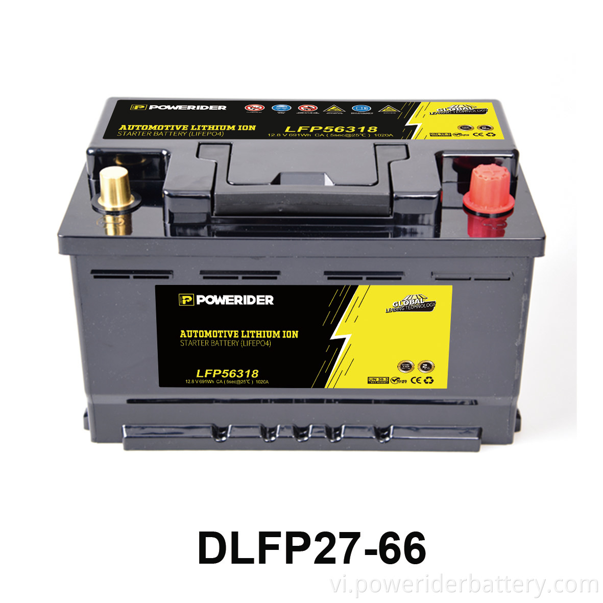 Dlfp56318 (1) DLFP56318(1)